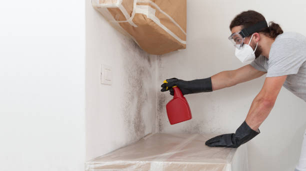 Professional Mold Testing technician working in Centereach, NY